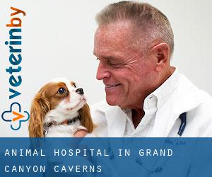 Animal Hospital in Grand Canyon Caverns