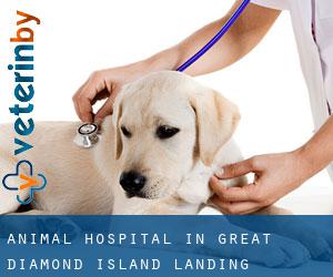 Animal Hospital in Great Diamond Island Landing