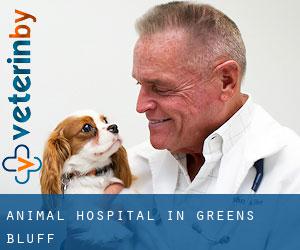 Animal Hospital in Greens Bluff
