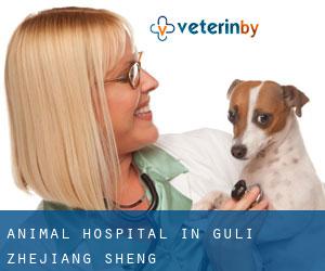 Animal Hospital in Guli (Zhejiang Sheng)