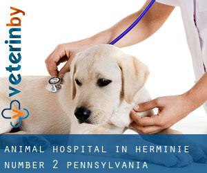 Animal Hospital in Herminie Number 2 (Pennsylvania)