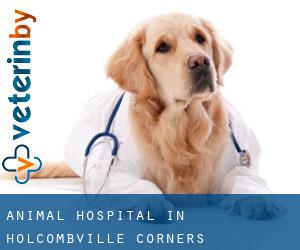 Animal Hospital in Holcombville Corners