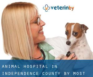 Animal Hospital in Independence County by most populated area - page 1