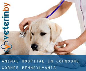 Animal Hospital in Johnsons Corner (Pennsylvania)