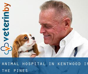 Animal Hospital in Kentwood-In-The-Pines