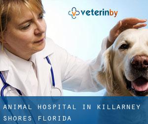 Animal Hospital in Killarney Shores (Florida)