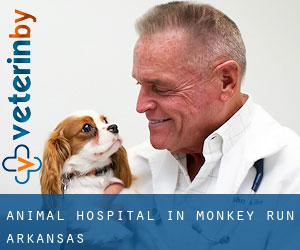 Animal Hospital in Monkey Run (Arkansas)