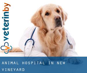 Animal Hospital in New Vineyard