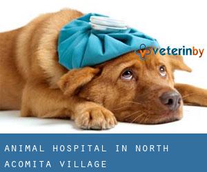 Animal Hospital in North Acomita Village