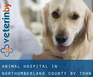Animal Hospital in Northumberland County by town - page 1