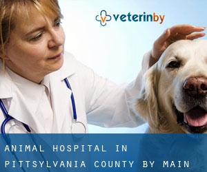 Animal Hospital in Pittsylvania County by main city - page 1