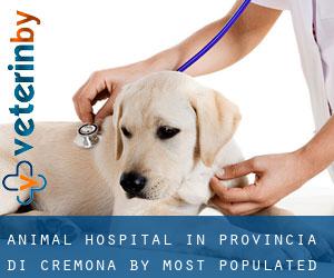Animal Hospital in Provincia di Cremona by most populated area - page 1