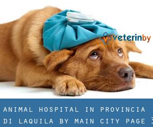 Animal Hospital in Provincia di L'Aquila by main city - page 3