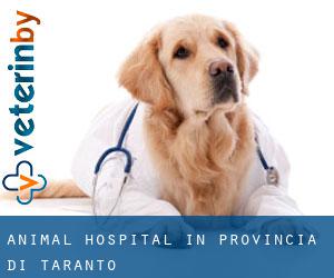 Animal Hospital in Provincia di Taranto