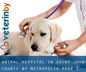Animal Hospital in Saint Johns County by metropolis - page 1
