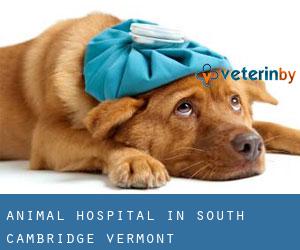 Animal Hospital in South Cambridge (Vermont)