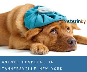 Animal Hospital in Tannersville (New York)