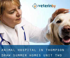 Animal Hospital in Thompson Draw Summer Homes Unit Two