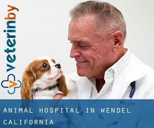 Animal Hospital in Wendel (California)