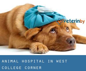 Animal Hospital in West College Corner