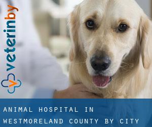 Animal Hospital in Westmoreland County by city - page 4