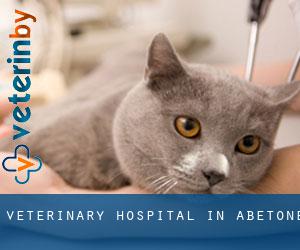 Veterinary Hospital in Abetone
