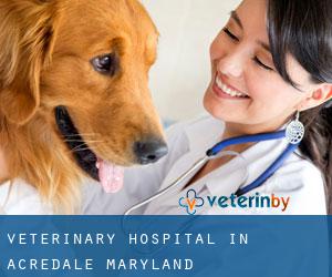 Veterinary Hospital in Acredale (Maryland)