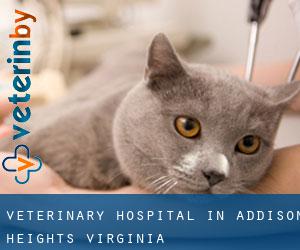 Veterinary Hospital in Addison Heights (Virginia)
