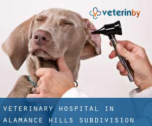 Veterinary Hospital in Alamance Hills Subdivision
