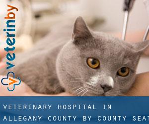 Veterinary Hospital in Allegany County by county seat - page 2