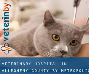 Veterinary Hospital in Allegheny County by metropolis - page 5