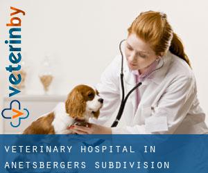 Veterinary Hospital in Anetsberger's Subdivision