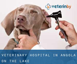 Veterinary Hospital in Angola on the Lake
