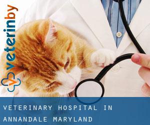 Veterinary Hospital in Annandale (Maryland)