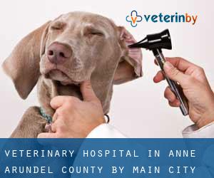 Veterinary Hospital in Anne Arundel County by main city - page 6
