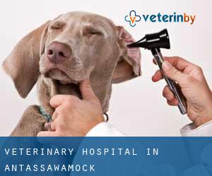 Veterinary Hospital in Antassawamock