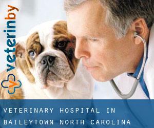 Veterinary Hospital in Baileytown (North Carolina)