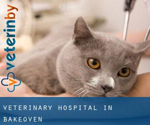 Veterinary Hospital in Bakeoven