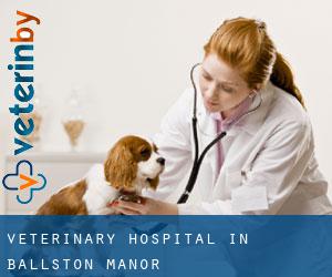 Veterinary Hospital in Ballston Manor
