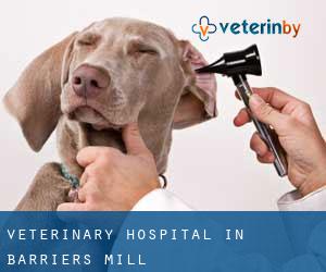 Veterinary Hospital in Barriers Mill