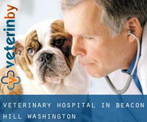Veterinary Hospital in Beacon Hill (Washington)