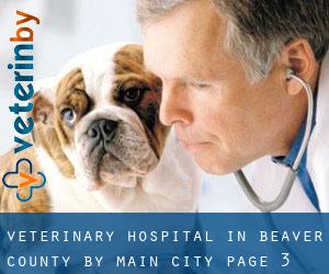 Veterinary Hospital in Beaver County by main city - page 3