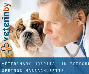 Veterinary Hospital in Bedford Springs (Massachusetts)