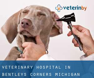 Veterinary Hospital in Bentleys Corners (Michigan)