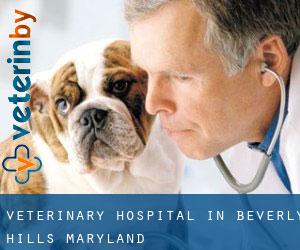 Veterinary Hospital in Beverly Hills (Maryland) Veterinary Hospital in Beverly Hills (Maryland)