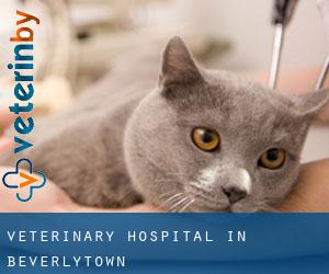 Veterinary Hospital in Beverlytown