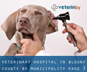 Veterinary Hospital in Blount County by municipality - page 3