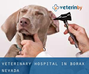 Veterinary Hospital in Borax (Nevada)