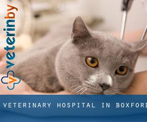 Veterinary Hospital in Boxford