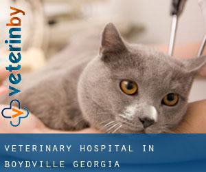 Veterinary Hospital in Boydville (Georgia)